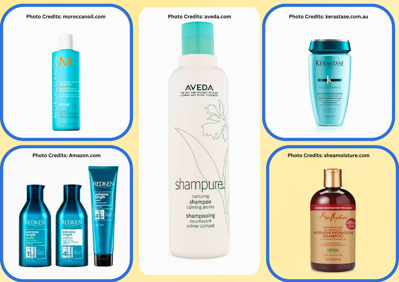 summer hair care best shampoo